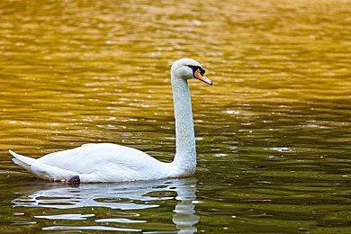 育碧开放世界运动游戏《极限国度》开放B测申请